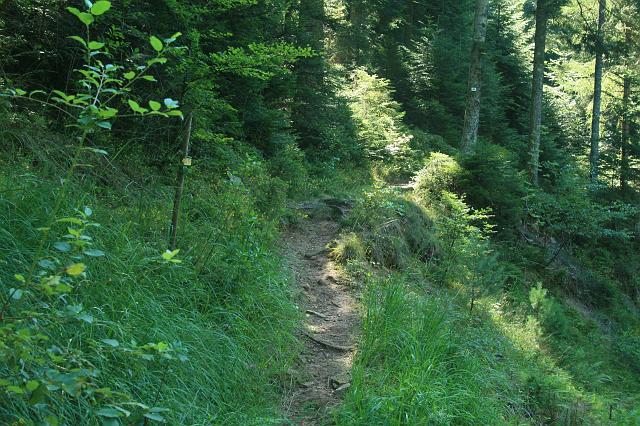 Kniebis 2009 Bild 25